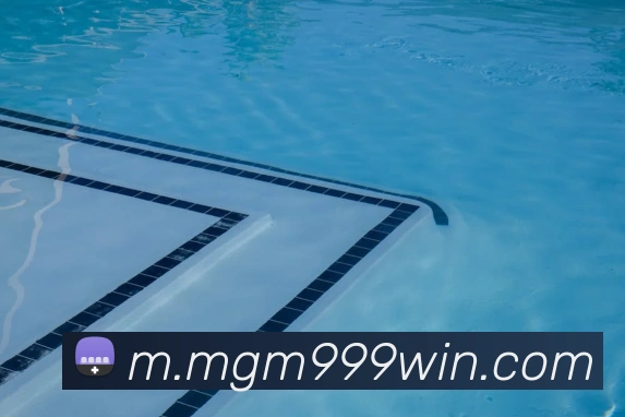 美狮美高梅mgm服务体系