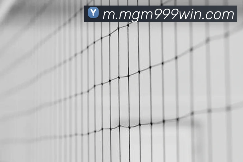 美狮美高梅mgmAPP 体育赛事宣传图